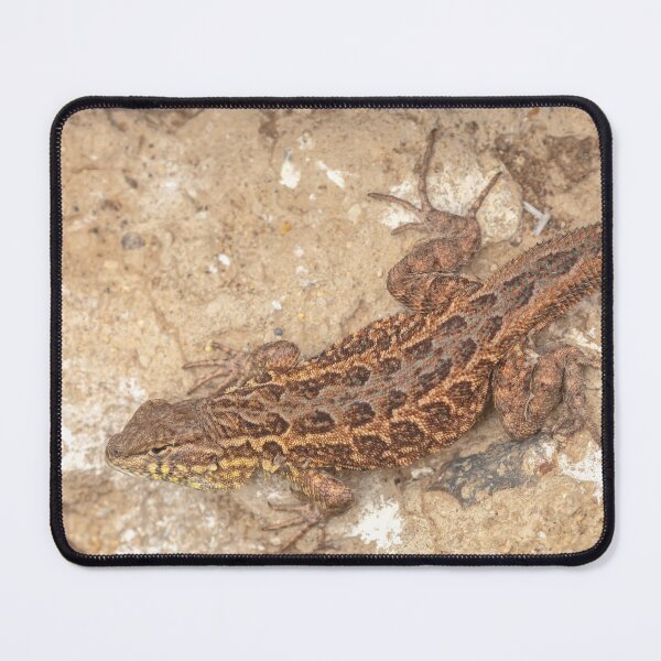 Item preview, Side Botch Lizard designed and sold by jvnimages.