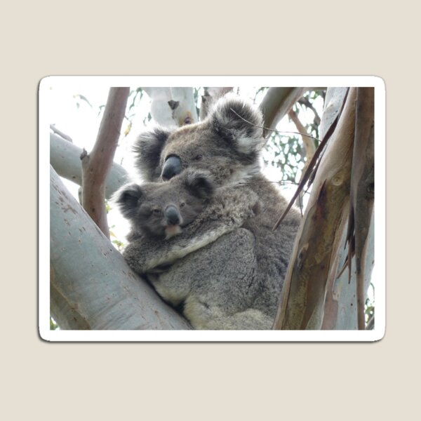 Mother and baby Magnet