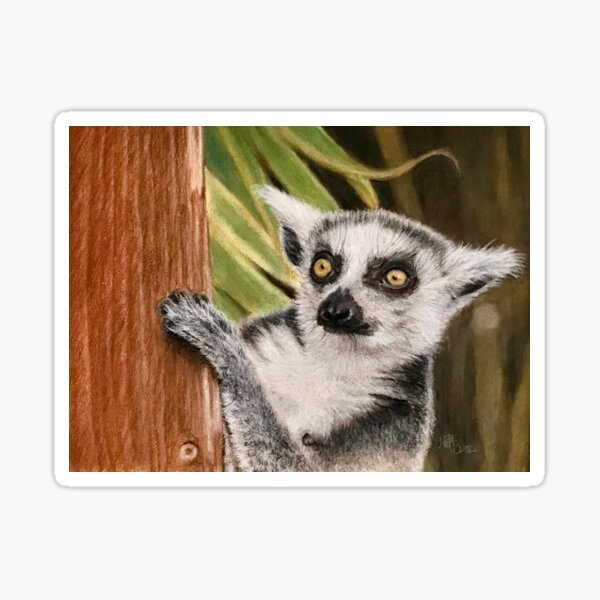 Cute primate lemur from Madagascar Sticker