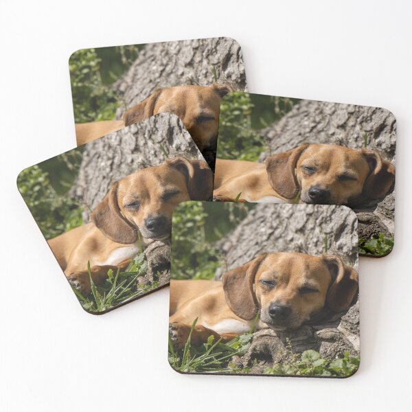 Item preview, chiweenie designed and sold by FlyingLilly.