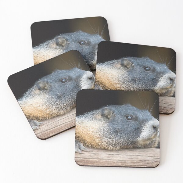 Item preview, Just hangin'. designed and sold by Photos By Michel.