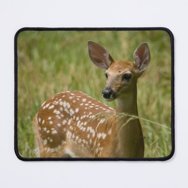 Item preview, young deer designed and sold by FlyingLilly.