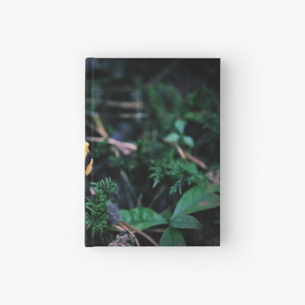 Item preview, Chanterelle designed and sold by Alex Volkoff.