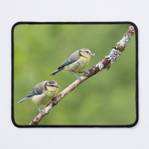 Item preview, Double trouble designed and sold by GreyFeatherPhot.