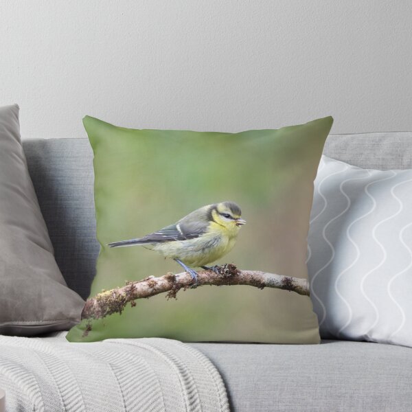 Item preview, Juvenile blue tit designed and sold by GreyFeatherPhot.