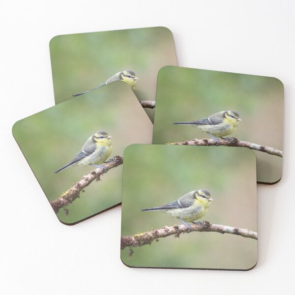 Item preview, Juvenile blue tit designed and sold by GreyFeatherPhot.