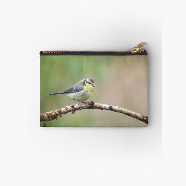 Item preview, Juvenile blue tit designed and sold by GreyFeatherPhot.