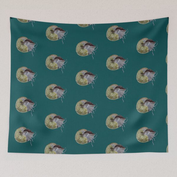 Item preview, Fuzzy nautilus designed and sold by ElementalEmbers.