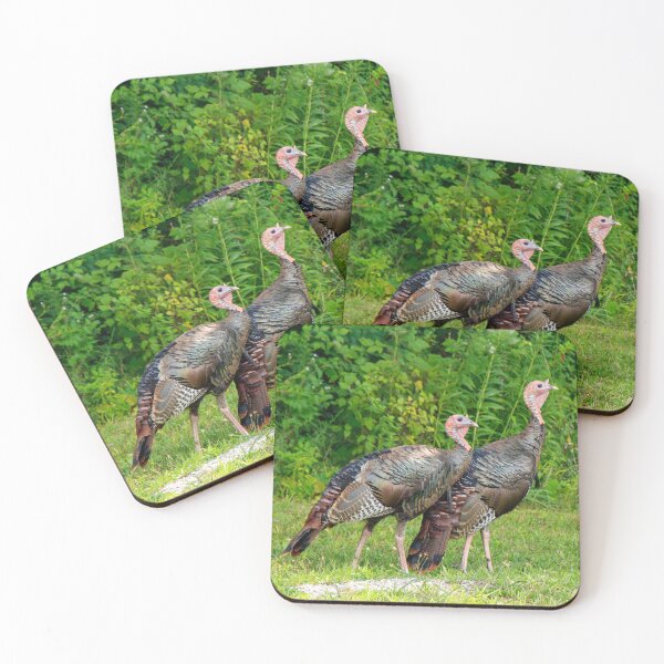 Item preview, Turkeys designed and sold by FlyingLilly.