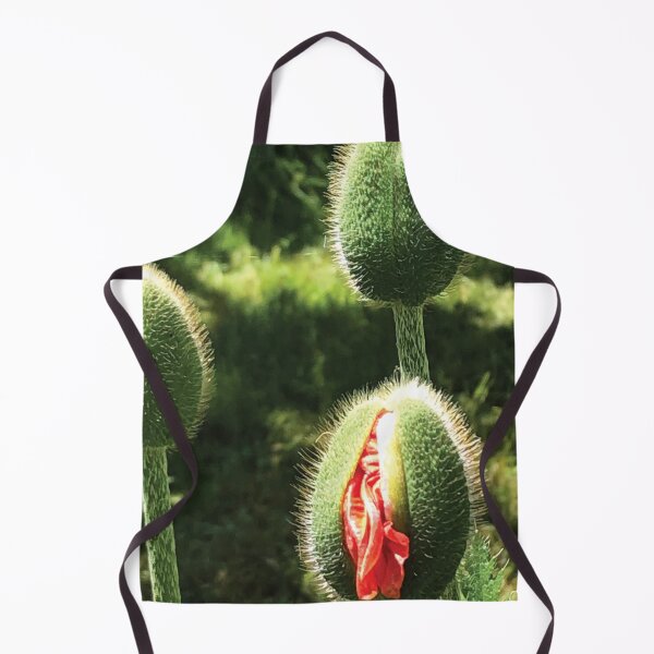 Item preview, Red Poppy Emerging in Our Friend’s Garden on Gabriola… designed and sold by drumweaver.
