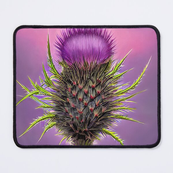 Item preview, Scottish Thistle Contemporary Art designed and sold by davidelder.