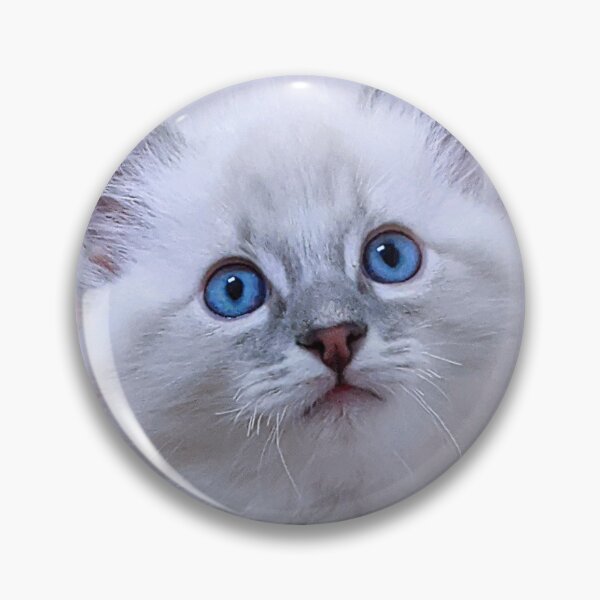 Item preview, Autumn winter lynx ragdoll kitten designed and sold by Fluffycat2020.