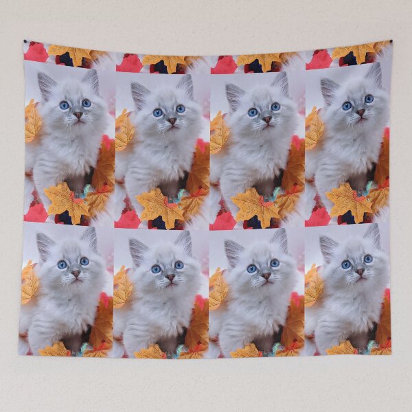 Item preview, Autumn winter lynx ragdoll kitten designed and sold by Fluffycat2020.