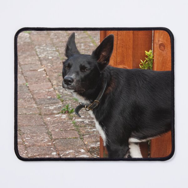 Item preview, sheepdog  designed and sold by Francespoppy.