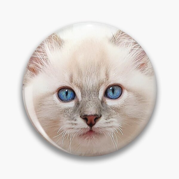 Item preview, Autumn winter lynx ragdoll kitten designed and sold by Fluffycat2020.