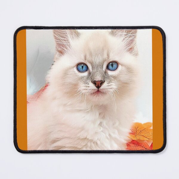 Item preview, Autumn winter lynx ragdoll kitten designed and sold by Fluffycat2020.