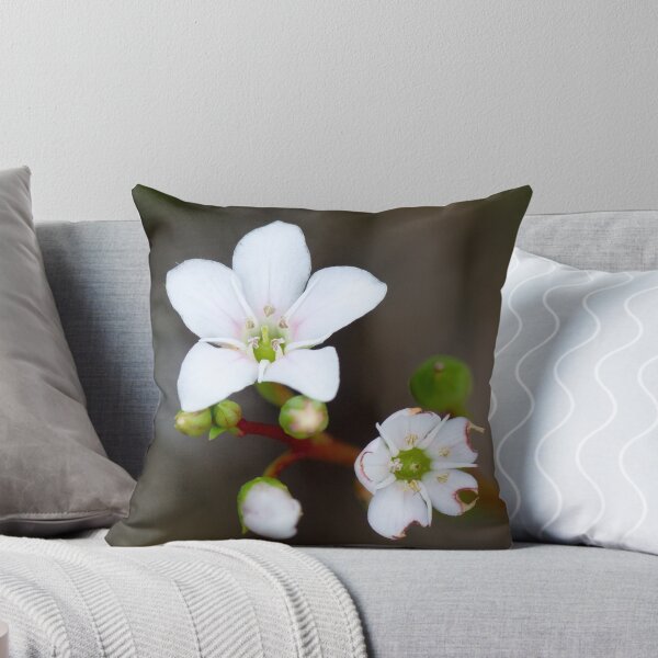 Item preview, Creaping Brookweed designed and sold by pcbermagui.