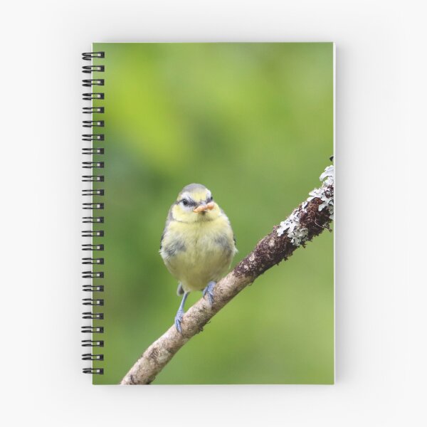 Item preview, The early blue tit catches the worm designed and sold by GreyFeatherPhot.