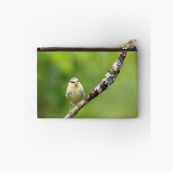 Item preview, The early blue tit catches the worm designed and sold by GreyFeatherPhot.