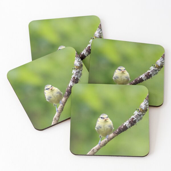 Item preview, The early blue tit catches the worm designed and sold by GreyFeatherPhot.