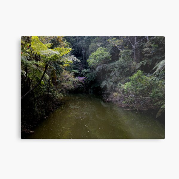 Item preview, Atlantic Forest 2 designed and sold by designbymarcs.