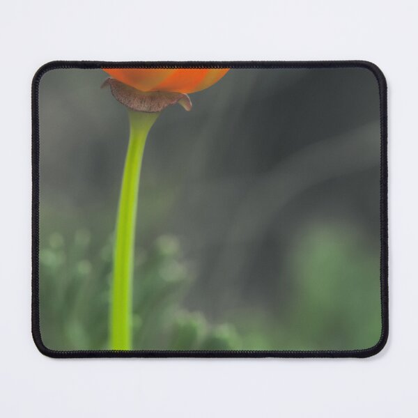 Item preview, California Poppy  designed and sold by jvnimages.