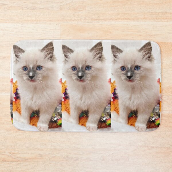 Item preview, Autumn winter ragdoll kitten designed and sold by Fluffycat2020.