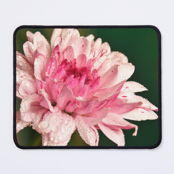 Item preview, Pink beauty designed and sold by Mrkoolvibes.