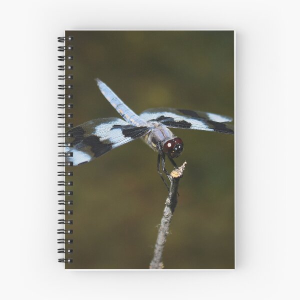 Item preview, Blue Dragonfly designed and sold by KWCreations.