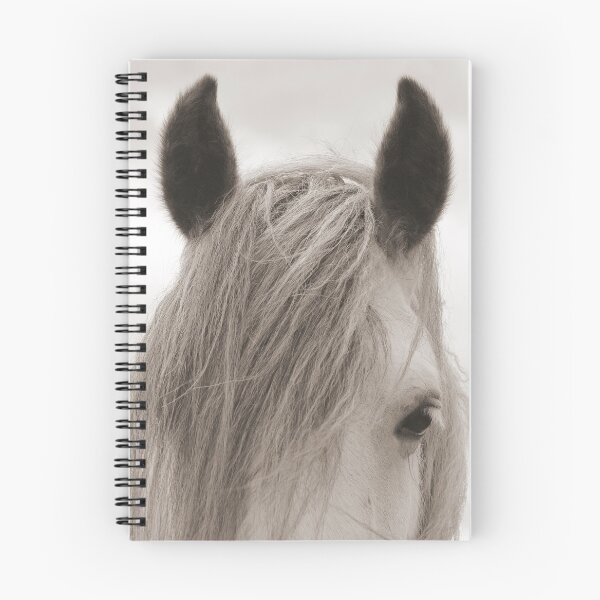 Aperçu de l'œuvre Oreilles de poney Dales créée et vendue par Mitch McFarlane.