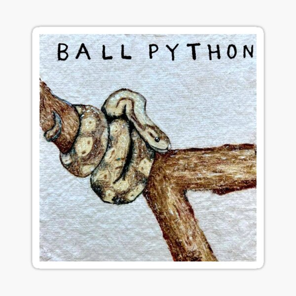 "Ball Python" Sticker for Sale by kahlua-arts | Redbubble