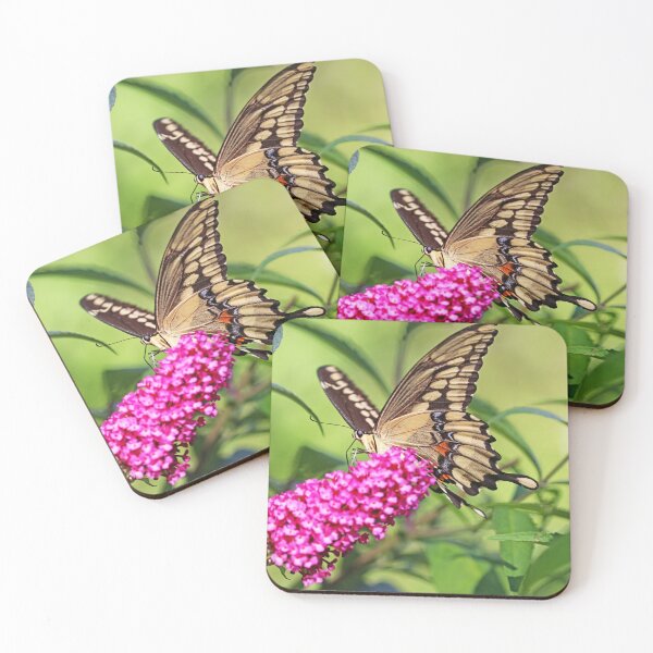 Item preview, Giant Swallowtail Nectaring designed and sold by Deb Oppermann.