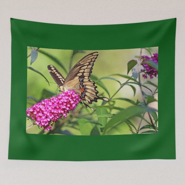 Item preview, Giant Swallowtail Nectaring designed and sold by Deb Oppermann.