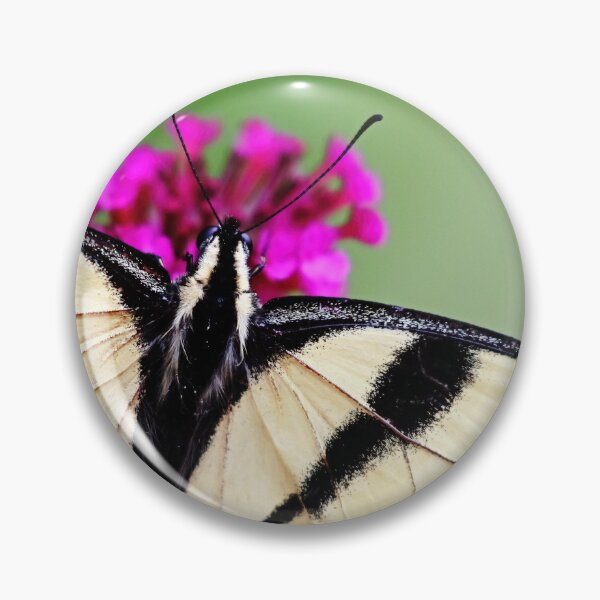 Item preview, Canadian Tiger Swallowtail Detail designed and sold by Deb Oppermann.