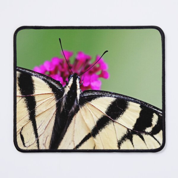 Item preview, Canadian Tiger Swallowtail Detail designed and sold by Deb Oppermann.