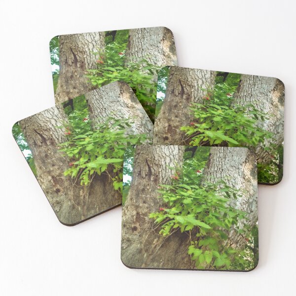 Item preview, Nightshade tree  designed and sold by Ivy-Bindig.