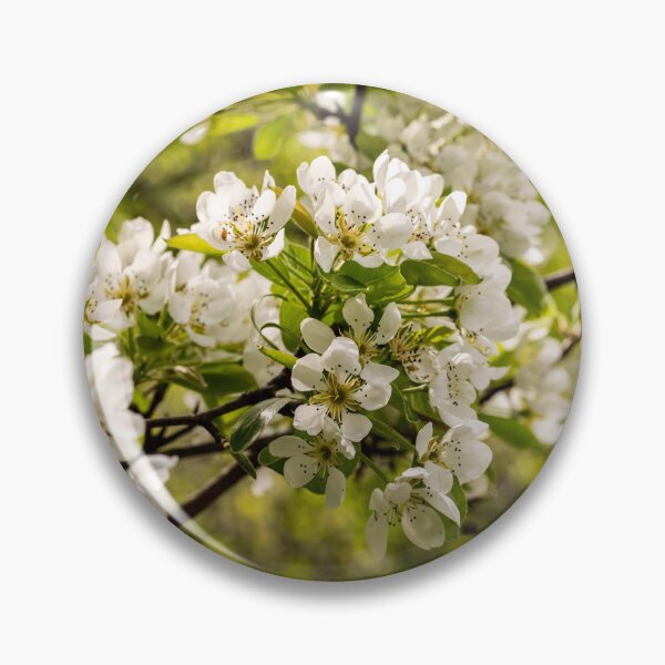 Item preview, Blossoming Pear Tree  designed and sold by PhotosByFelix.