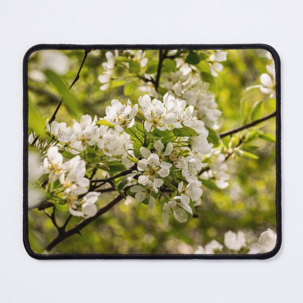 Item preview, Blossoming Pear Tree designed and sold by PhotosByFelix.
