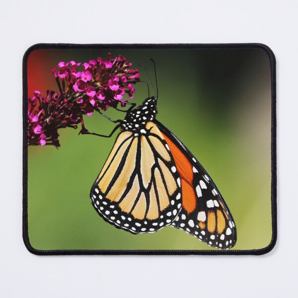 Item preview, The Monarch Butterfly designed and sold by Deb Oppermann.