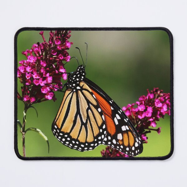 Item preview, Sweet Nectar And The Monarch designed and sold by Deb Oppermann.