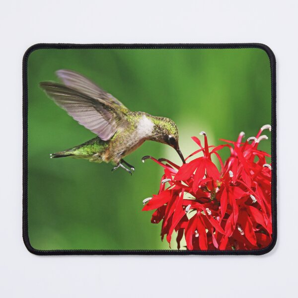 Item preview, Moment Of Joy designed and sold by Deb Oppermann.