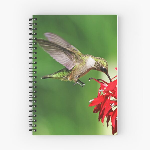 Item preview, Moment Of Joy designed and sold by Deb Oppermann.
