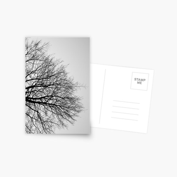 Branches Postcard
