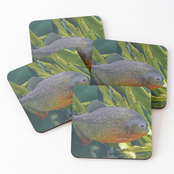 Item preview, Piranha 291 designed and sold by Hell-Prints.
