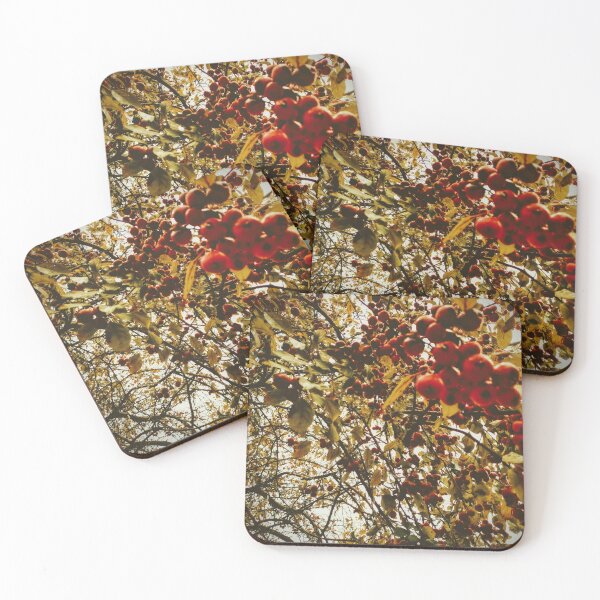 Item preview, Crabapple  designed and sold by Ivy-Bindig.
