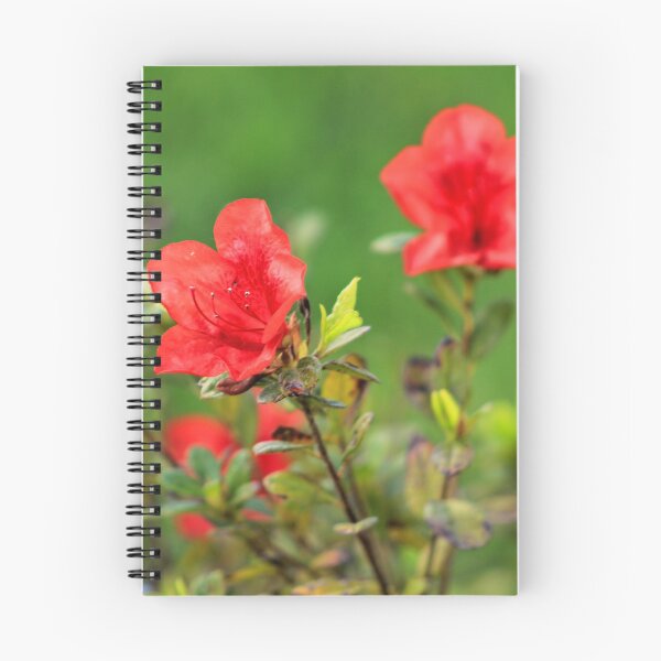 Item preview, Ask, receive designed and sold by Robin Simmons.