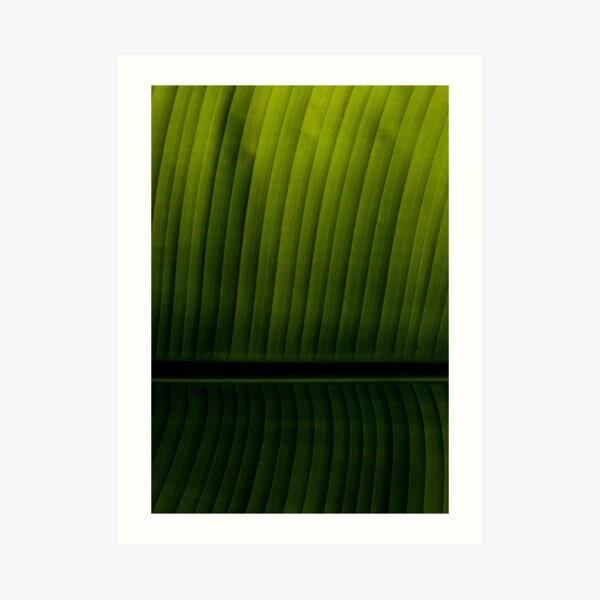 Leaf Art Print
