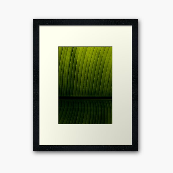 Leaf Framed Art Print