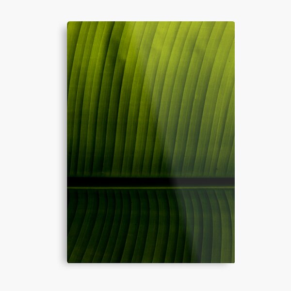 Leaf Metal Print