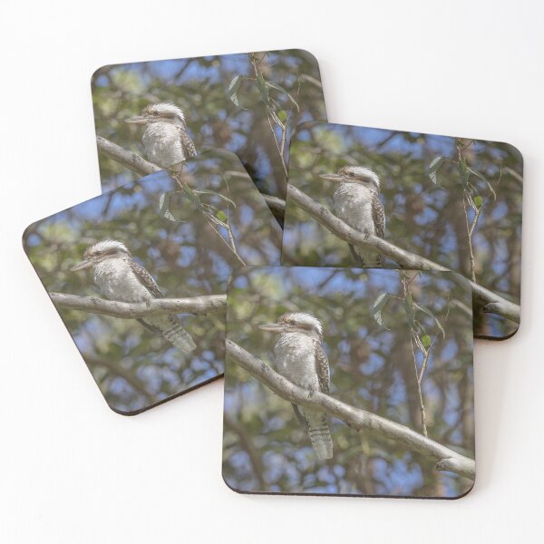 Item preview, Kookaburra designed and sold by Luke Foster.